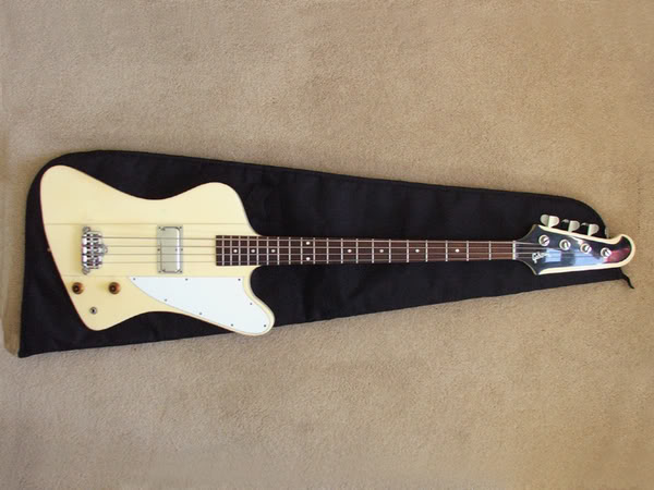 86_Thunderbird_II_on_gig_bag.jpg