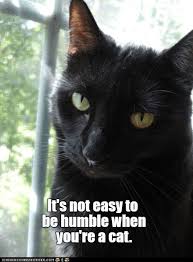 86C1B280-E720-4F01-9CD4-F4BFD2A6F680.jpeg