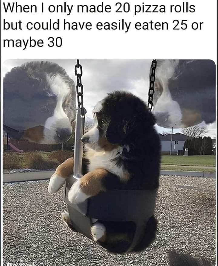 87385978-3089231311.jpeg