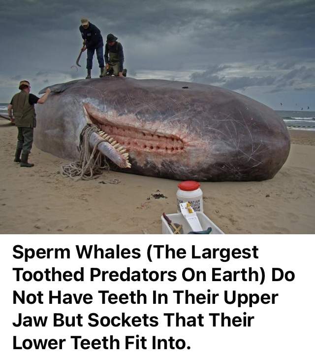 8761133F-2230-4E30-B2CB-5E5F22B6C358.jpeg