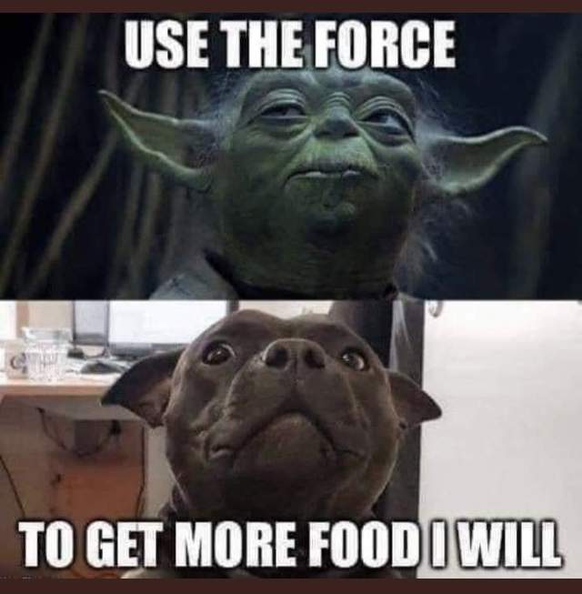 8847B369-3C33-4F27-8151-41280E7EF501.jpeg