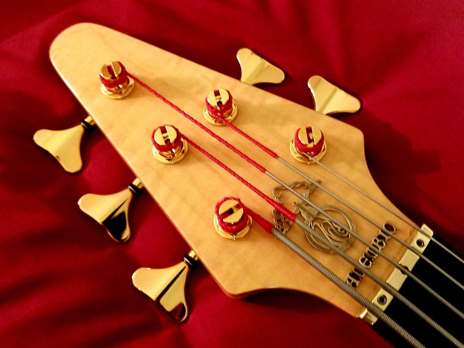 89P5559 headstock (front).jpeg