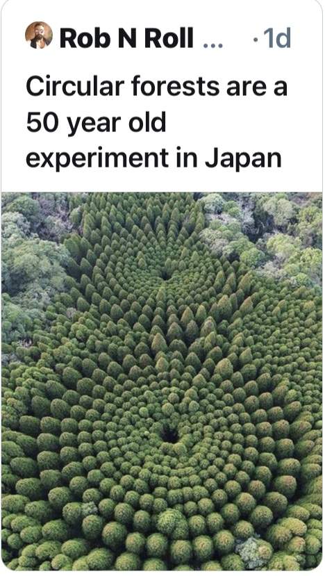 8B18B5D6-FD1F-410A-805B-A01ACB4D7898.jpeg