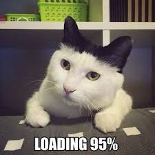 8B2BBECF-6887-4557-8B78-E0EC22C7E5EA.jpeg