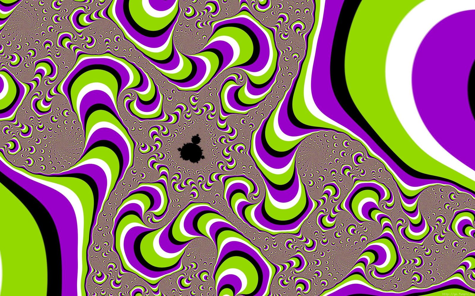 8cc2f809db2dd48b3a1e6addf9bf00e03f1656cc.jpg