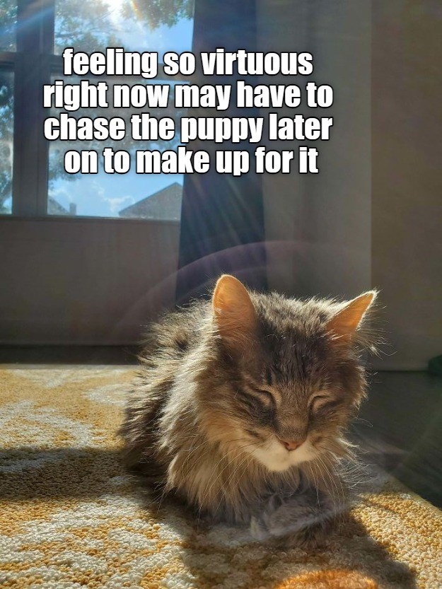 8CFE2470-C68D-4FED-9759-11EC4F5D414F.jpeg
