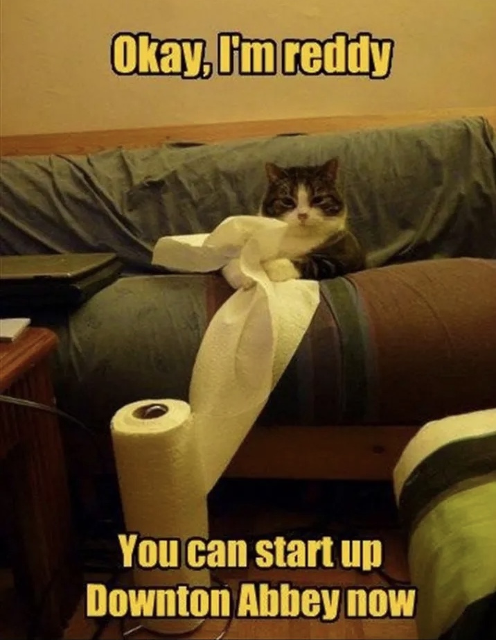 8D178BD0-6F3D-47B9-B995-7BFB435F5EF2.jpeg