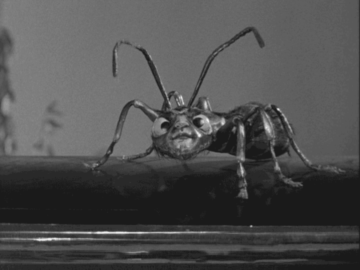8D273DF6-527A-4243-94CC-E8F551896173.gif