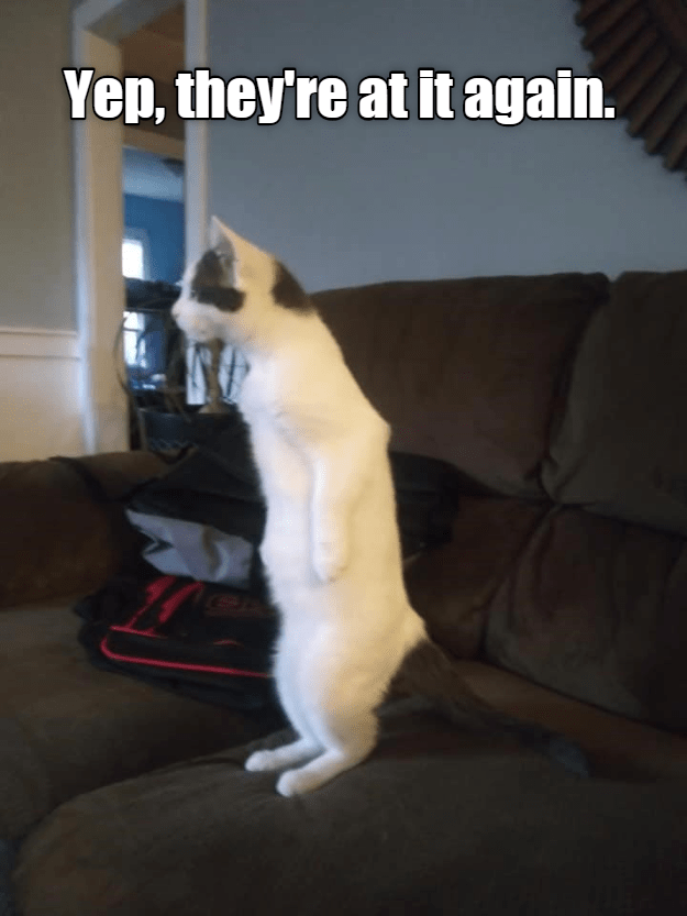 8D3FE039-04FA-4491-9F4D-1CD0A29291F1.png