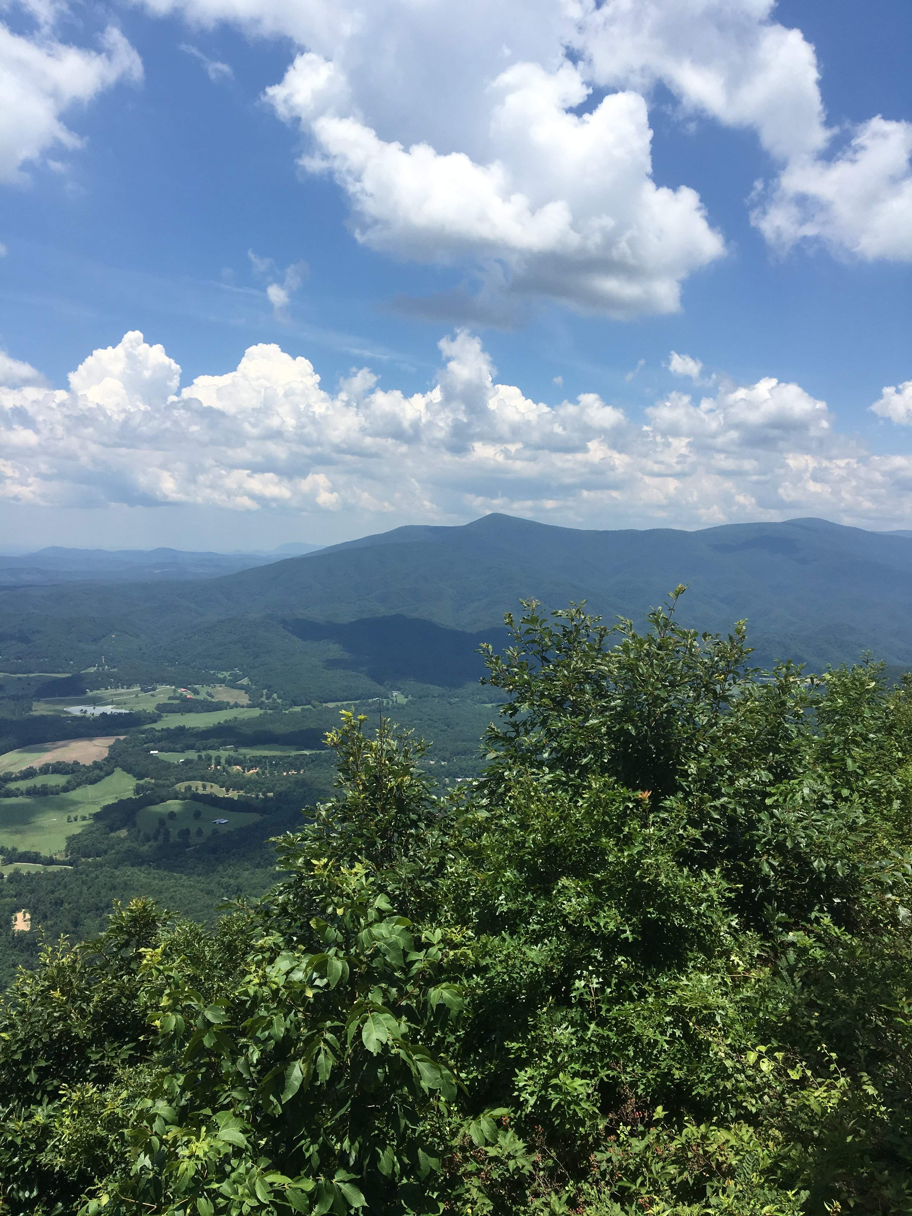 8DC12459-90B7-49A5-B360-E17F84A0E316.jpeg
