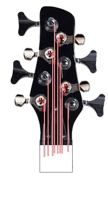 8string-Glarry.jpg
