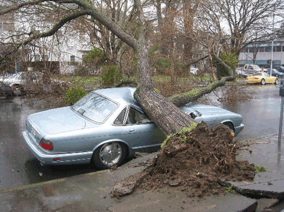 9-7-07-jaguar-crash.gif