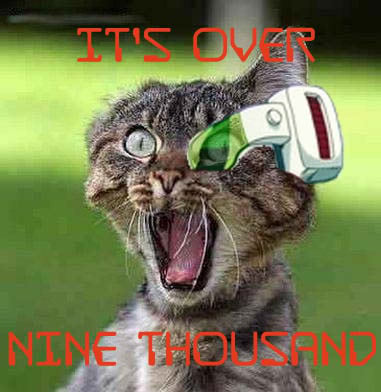 9000cat.jpg