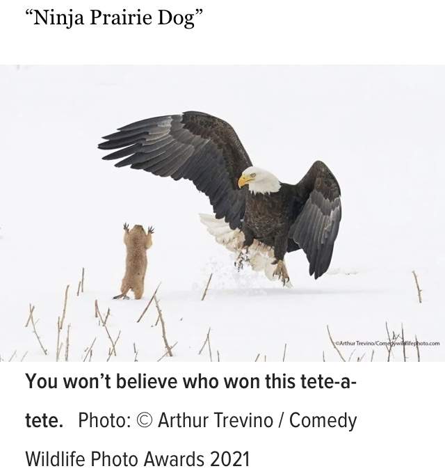 902021B7-378B-477F-8139-C49F0F6CA4E9.jpeg