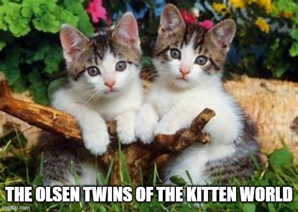 903666F4-79F3-4597-AB4D-A23B76F7265C.jpeg
