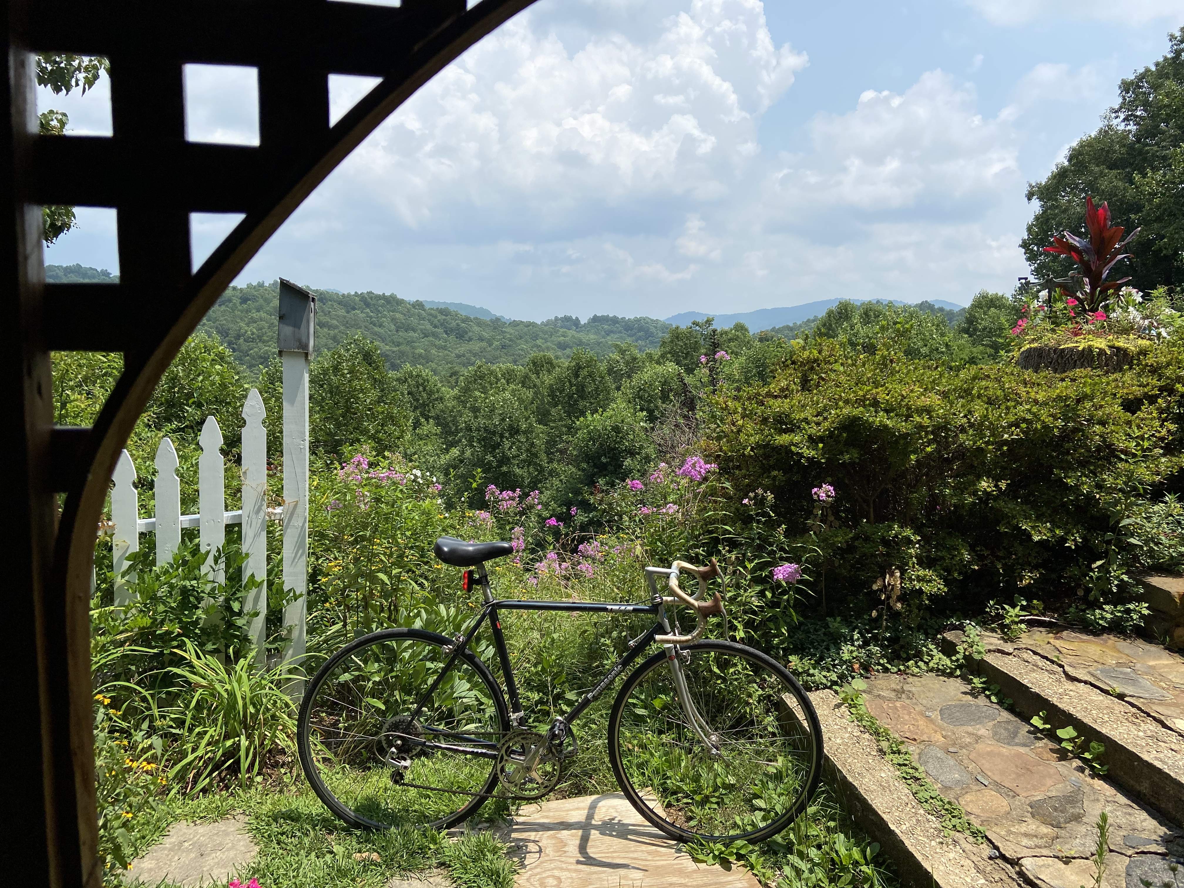 90453952-CA6E-43FD-B2D7-B292DE106829.jpeg