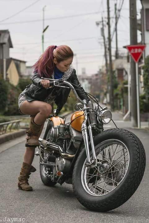907e3d61e2b3c3f0c8d8daf7a59f256c.jpg