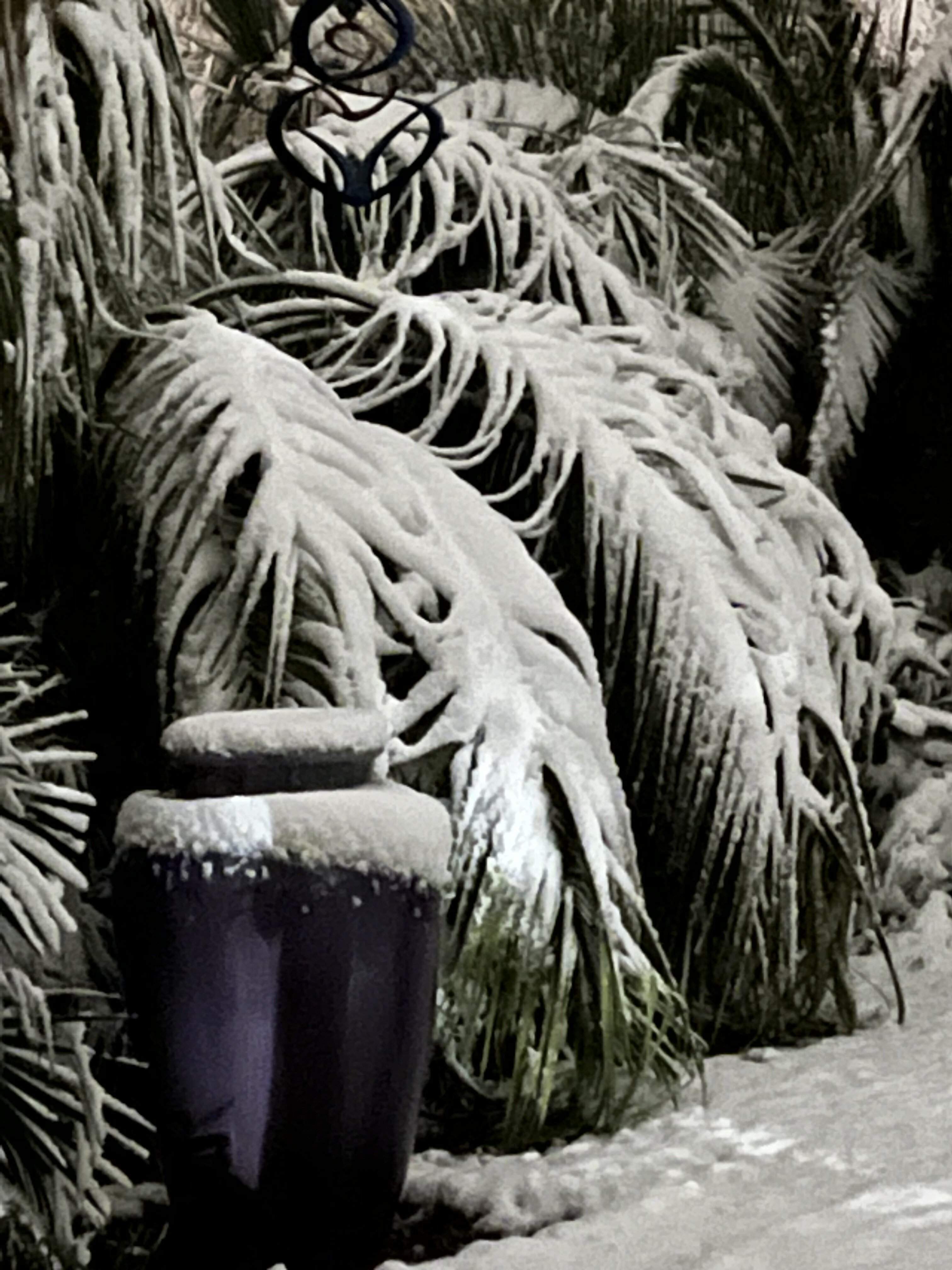 9090636A-49C7-4007-9647-4F4193577DDE.jpeg