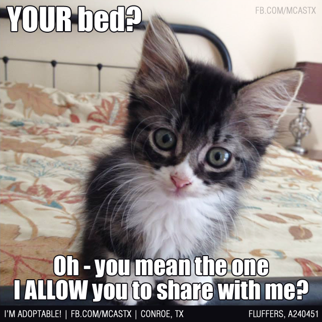 9119DC49-E94C-4DFA-85B7-2037A2438810.png