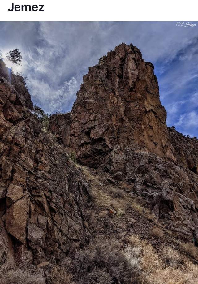 91E07801-D643-4B5E-946E-1DEE22845E25.jpeg