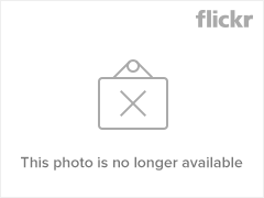 9252265840_c5045d8dcd_m.png