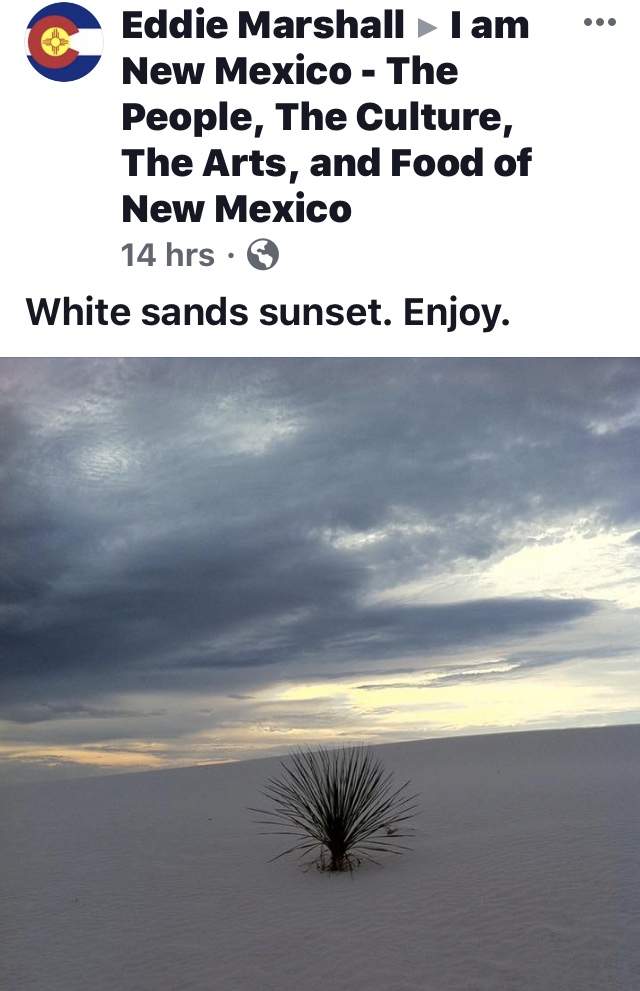 93277566-19D3-4B84-A6D4-18D63AE46F51.jpeg