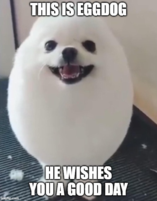 933EF4CE-CA88-4A69-B079-5E91F3ACAF93.jpeg