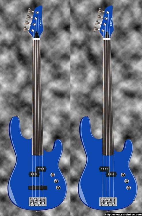 9389_B40_Fretless_p_rev_1.jpg
