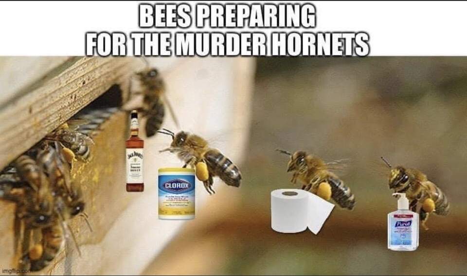 94953170-35E9-4C7A-8A42-BFF5ED1E679B.jpeg