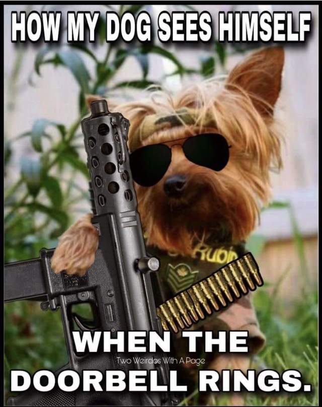 95C2C1C9-708A-4078-A202-4CDADCC723D0.jpeg