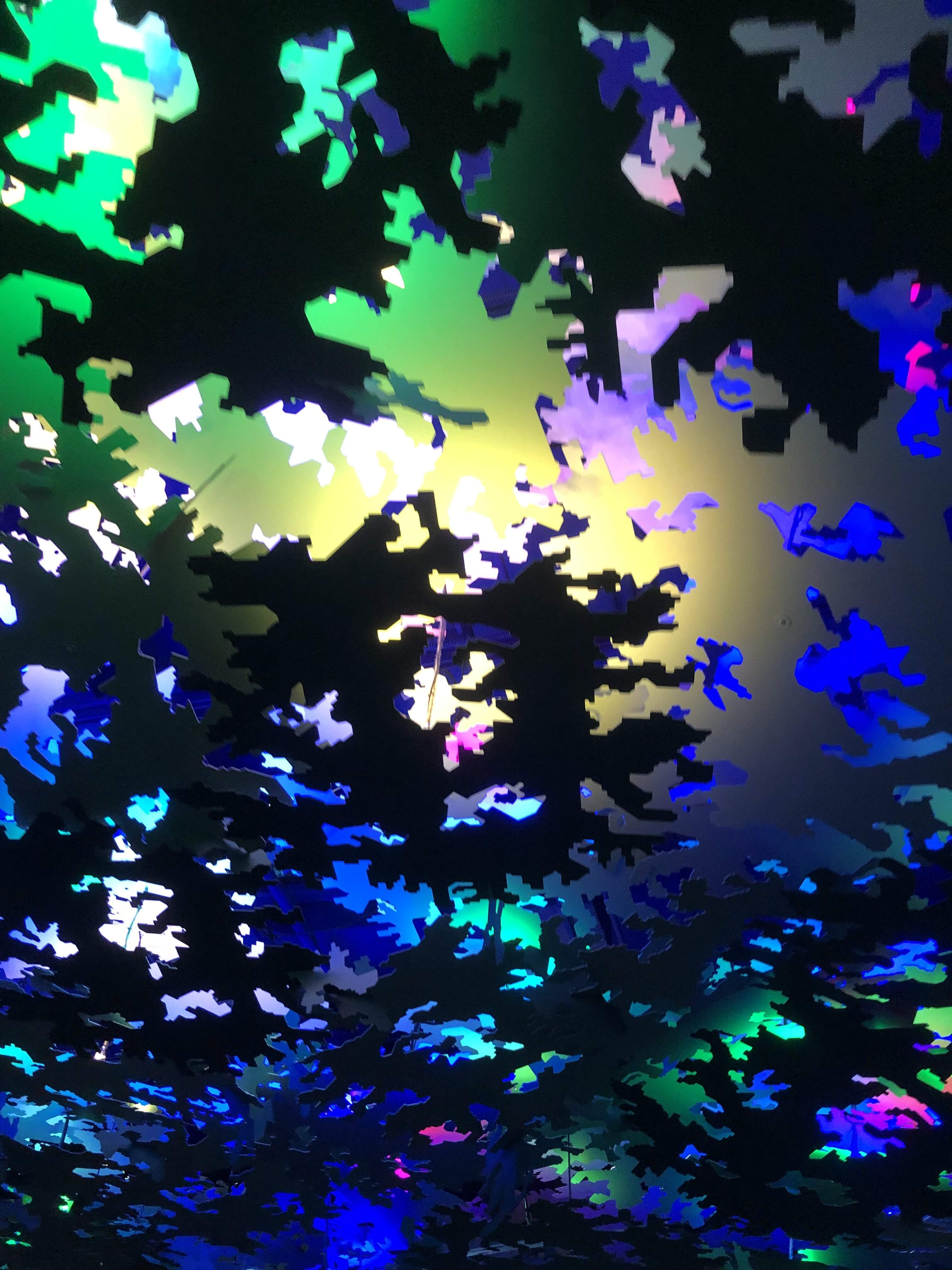 9642CCD4-58E7-4386-A8BC-8C5CD834092F.jpeg