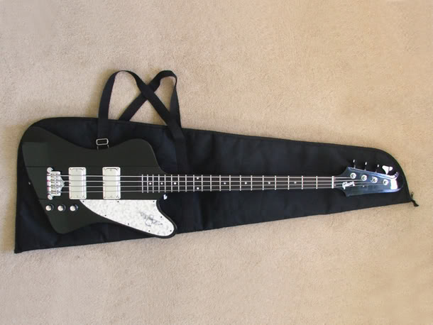 96_Thunderbird_LE_on_gig_bag.jpg