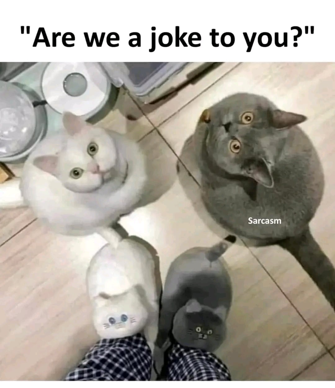 97C4615E-0B19-44C2-B585-D61CD01122E4.jpeg