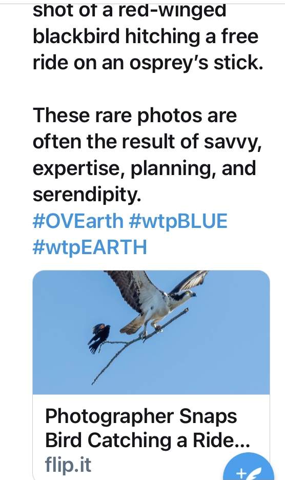 97E7D9E8-041D-4B6F-90ED-6BA55FF50265.jpeg