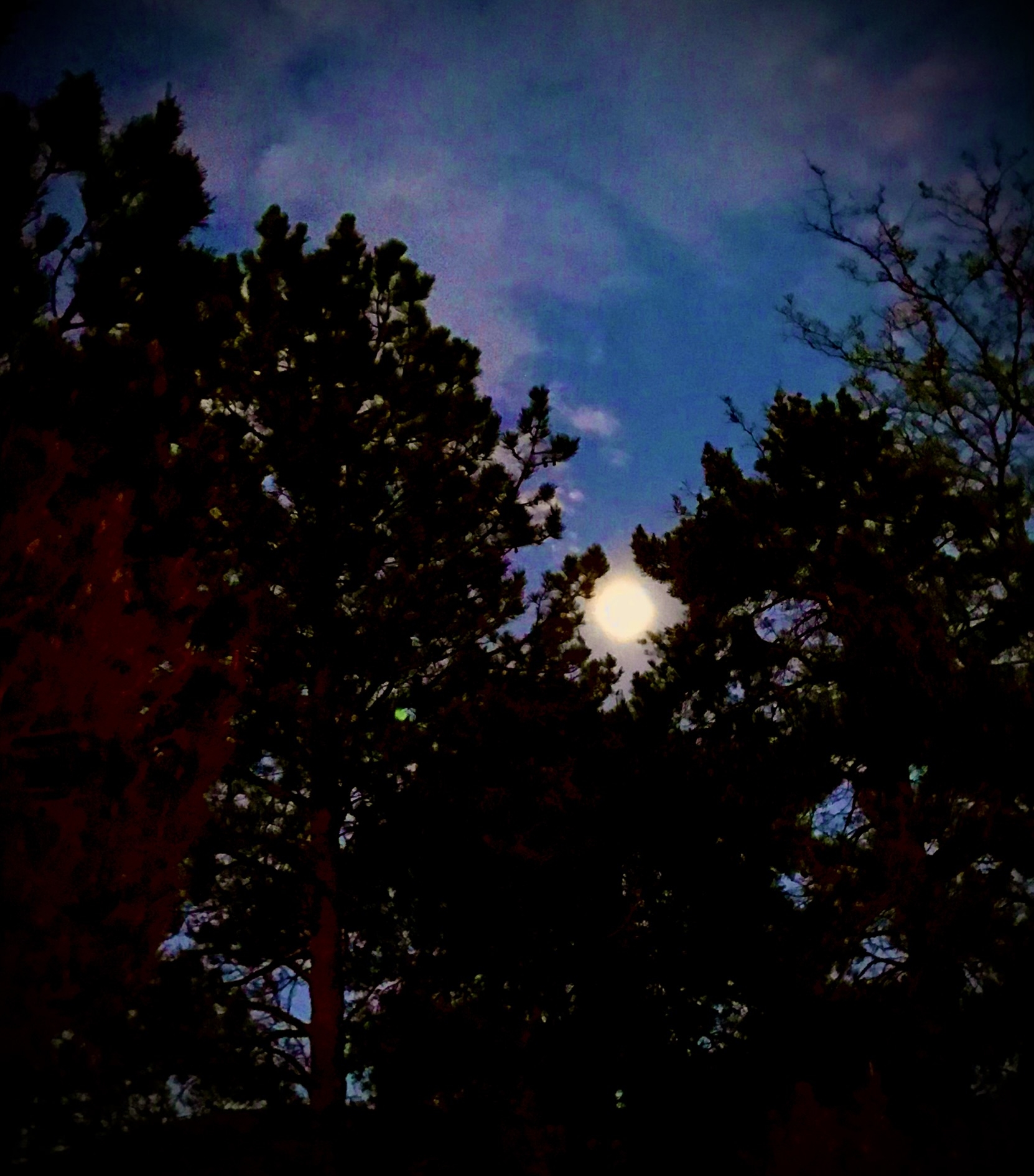 99098402-AB08-4BD0-B772-47231C61EE97.jpeg