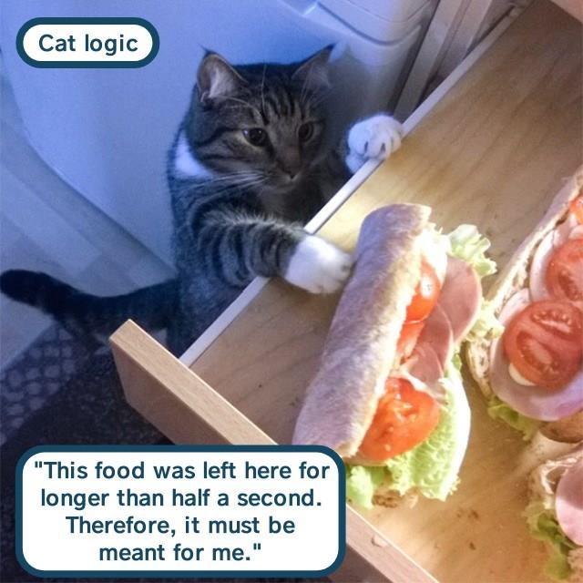9933D437-3EC3-48E2-927A-E55D73E4685E.jpeg