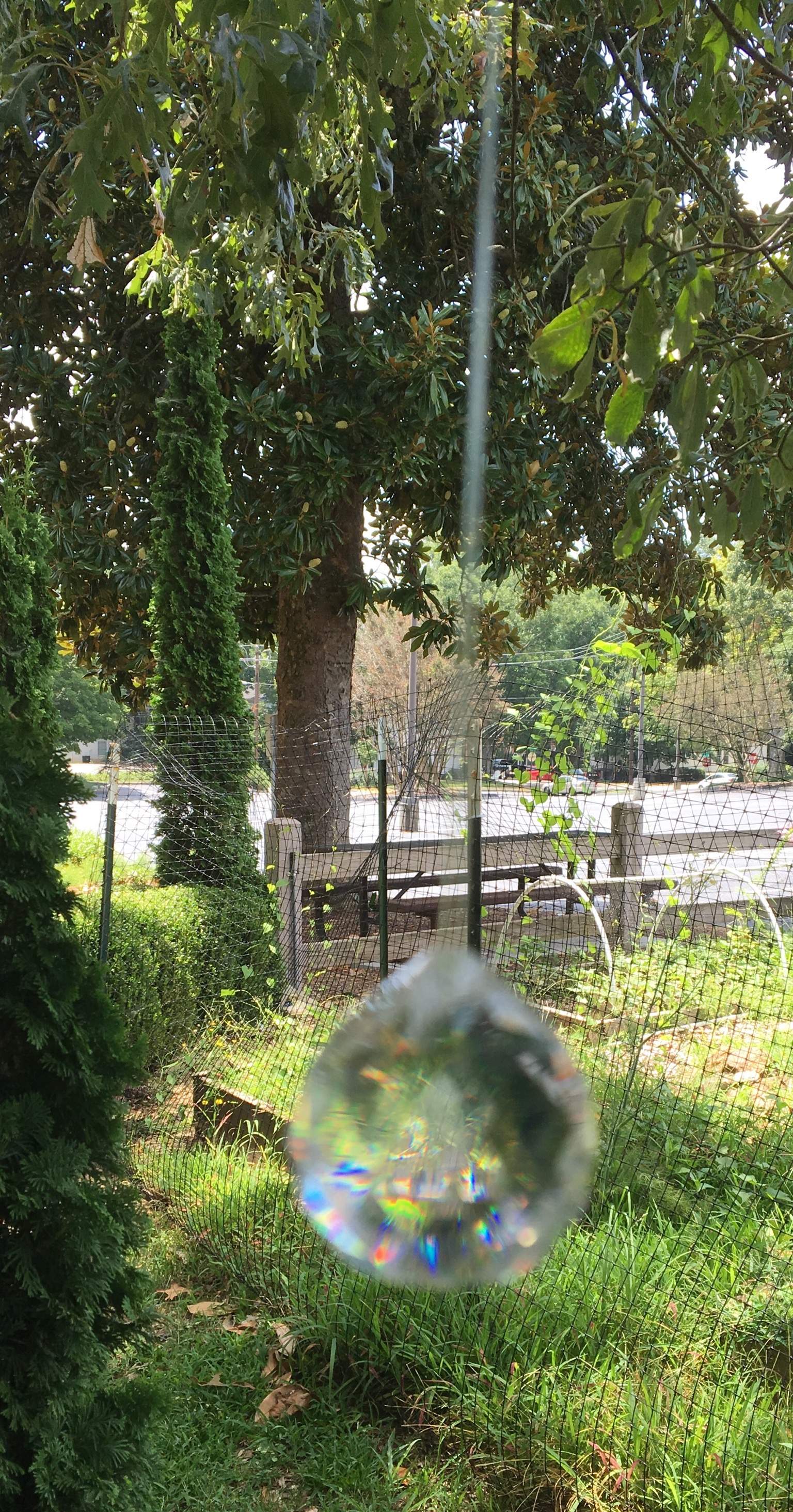 9972FFDF-5C03-44EB-9146-10215DCE1244.jpeg