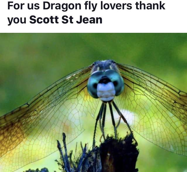 99BEE5A5-C2A5-4A11-BA06-0BA23A0B948E.jpeg