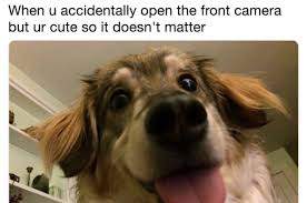 9B62BDC5-8C0D-4B92-8DF2-8F9183D94DAE.jpeg