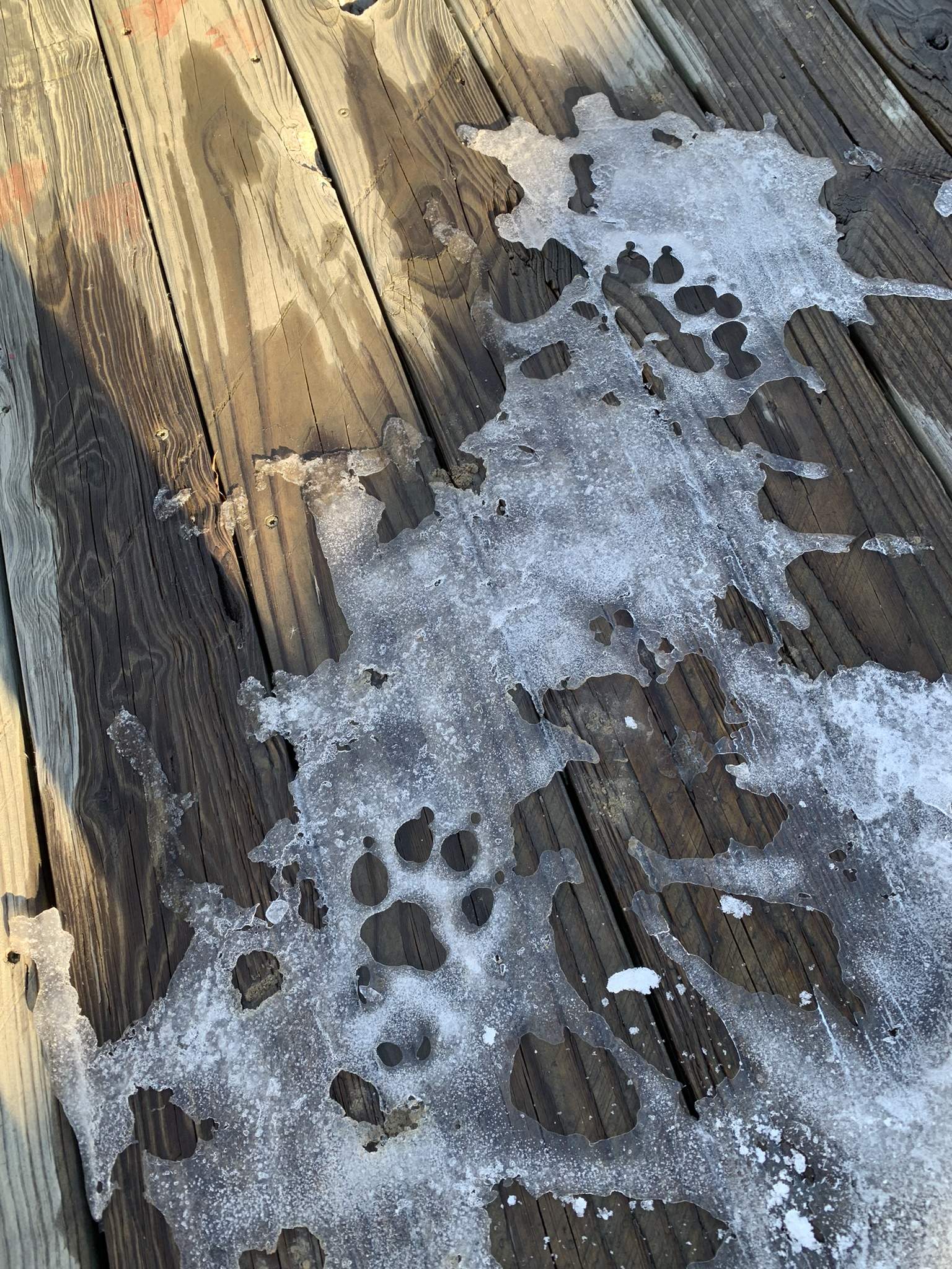 9C14A872-5E6A-4CB4-A505-305B3DB30DF5.jpeg