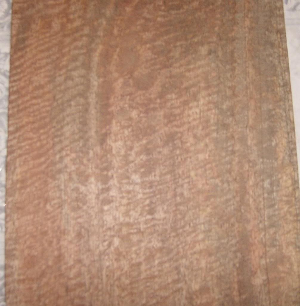 9stringbuild005.jpg
