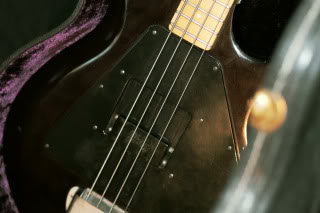 _1030859.jpg