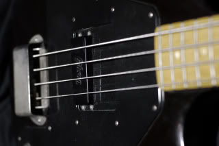 _1030873.jpg