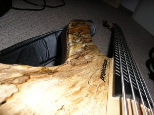 _c273005_image_0.jpg