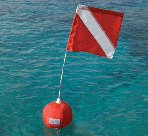 _diver_down_flag_angler_pulls_out_diver_key_west_florida.jpg
