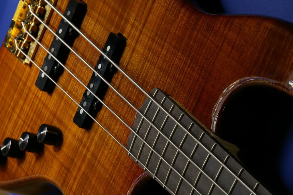 _IGP6297.jpg