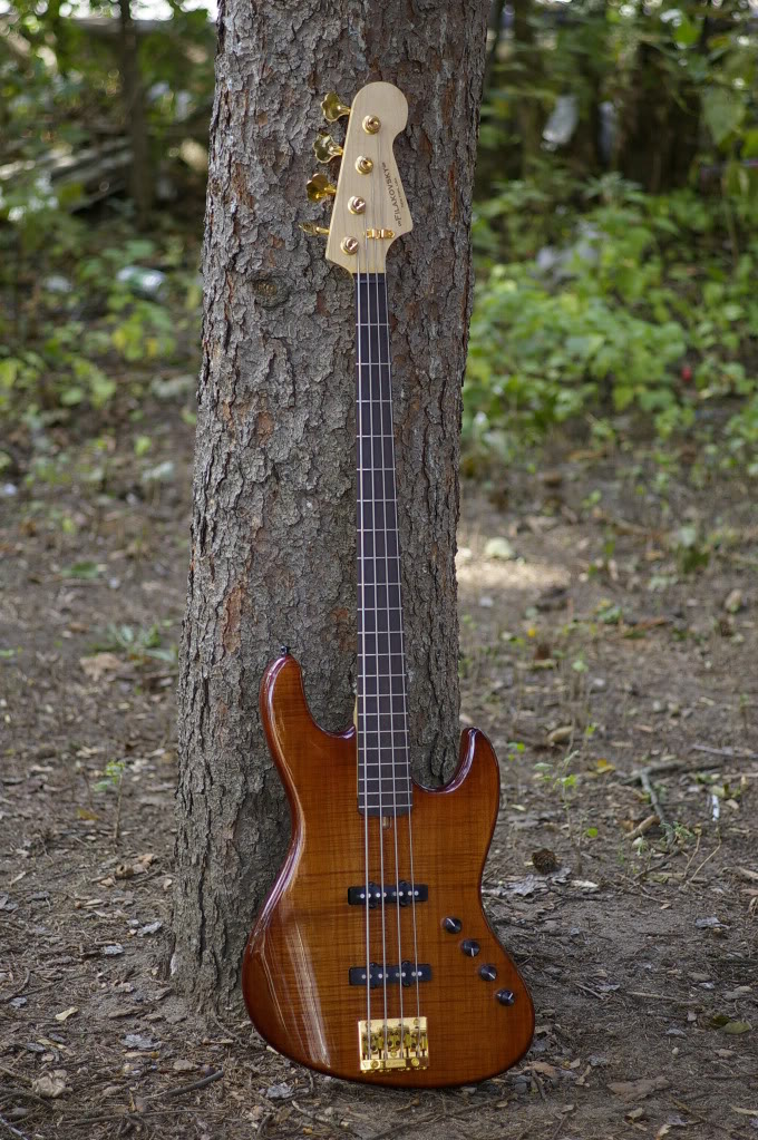_IGP6311.jpg