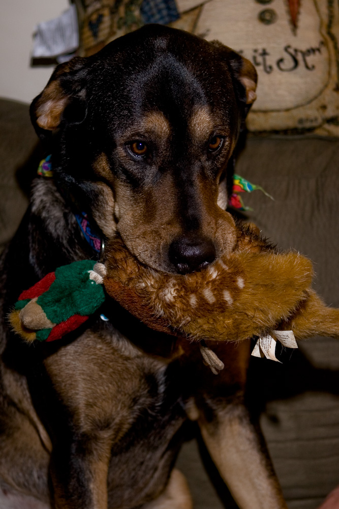 _MG_4670-Edit.jpg