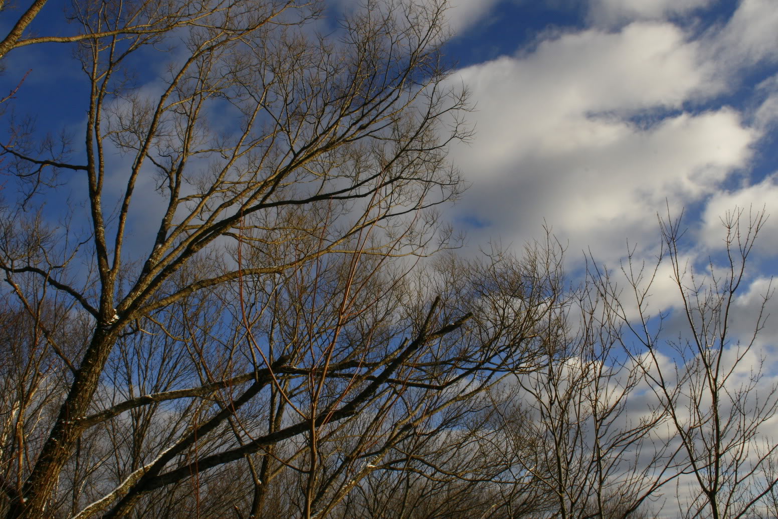 _MG_6526.jpg