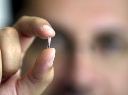 _microchip.jpg